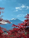 Image of mt fuji